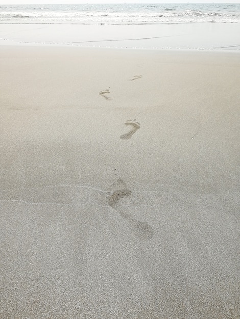 海に続く砂浜の足跡 プレミアム写真