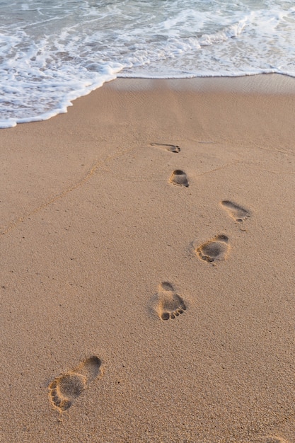 Premium Photo | Footprints on the sand beach nature background