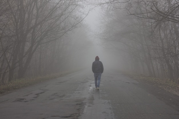 Forest In Fog. The Man Is Walking By The Fog. Dark Foggy Forest With ...