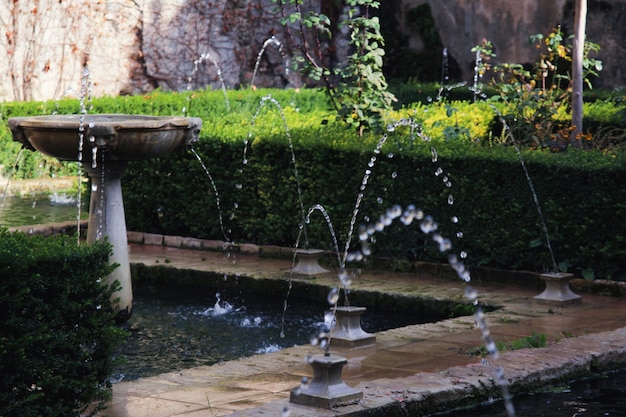 Fountains in the garden | Free Photo