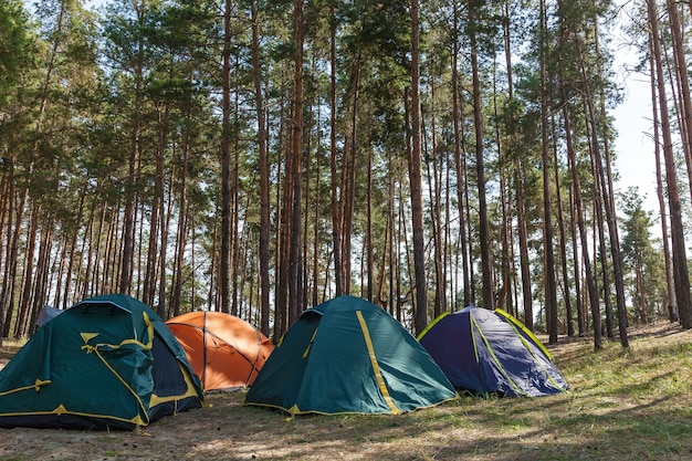 Premium Photo | Four tents in a coniferous forest. tents in a ...