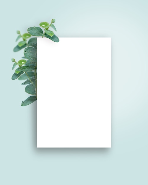 Premium Photo | Frame banner design with eucalyptus plants