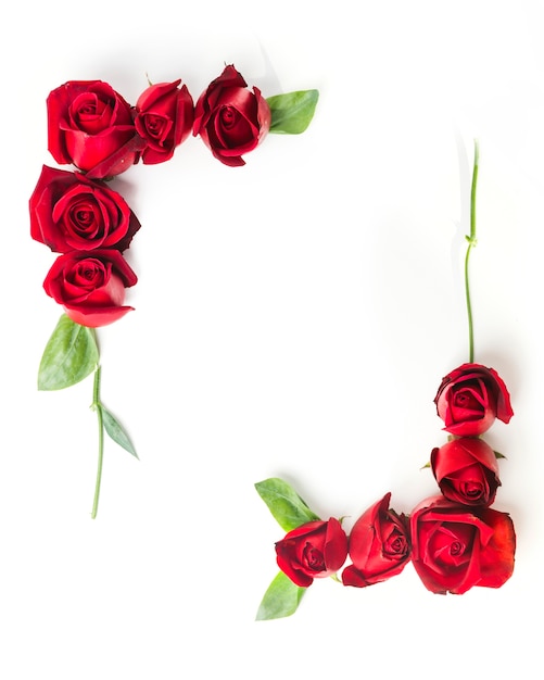 Free Photo | Frame made with decorated red roses on white background