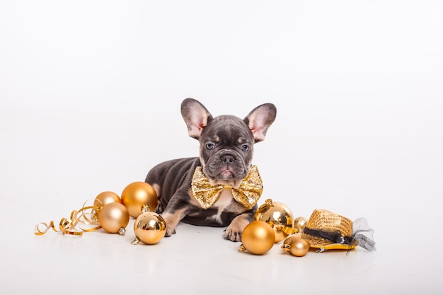 紳士のカーニバルの蝶のフレンチブルドッグの子犬と白い 新年に分離されたクリスマスツリーのおもちゃ プレミアム写真