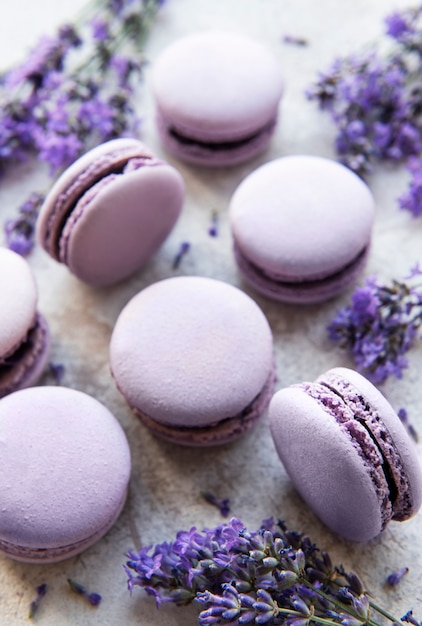 Premium Photo | French macarons with lavender flavor and fresh lavender ...