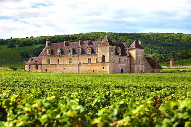 free-photo-french-vineyard-chateau