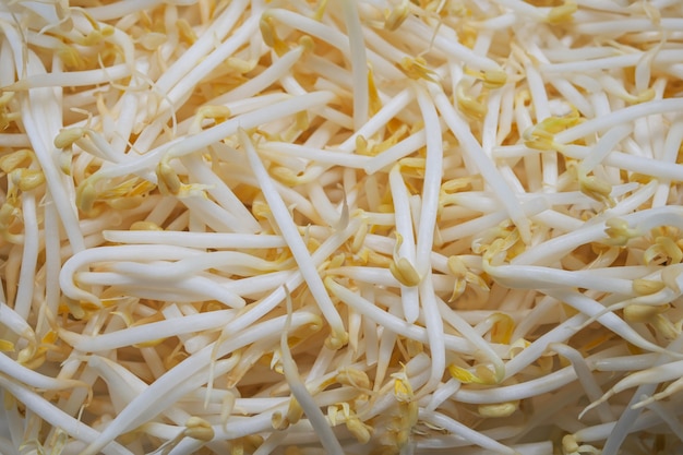 Premium Photo | Fresh bean sprouts with cooking