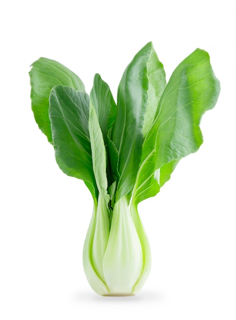 Premium Photo | Fresh chinese bok choy vegetable isolated on white