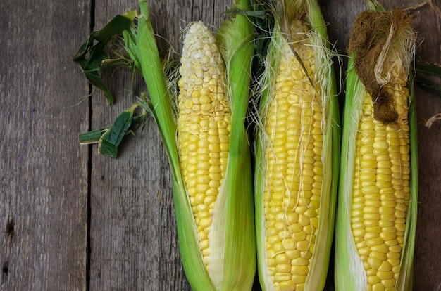 Fresh corn cobs on wooden Premium Photo