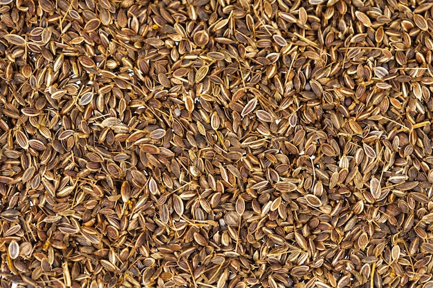 Premium Photo | Fresh cumin seed on background