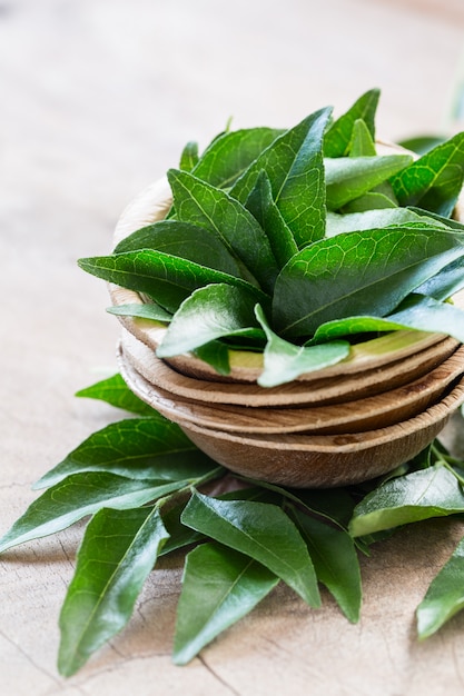 Premium Photo | Fresh curry leaves in coconut bowl