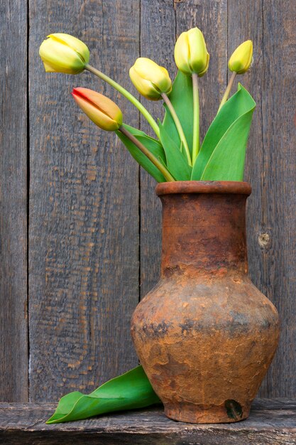 premium-photo-fresh-cut-tulips