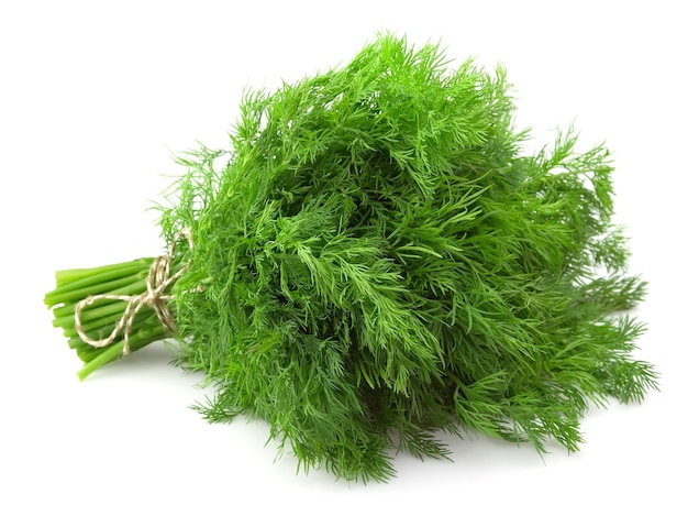 Premium Photo | Fresh dill close up on white background