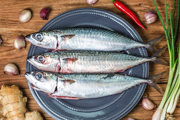 mackerel fish