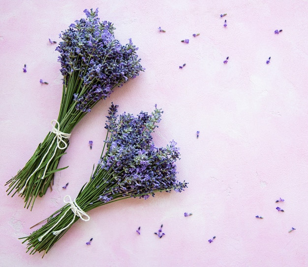 Fresh flowers of lavender Photo | Premium Download