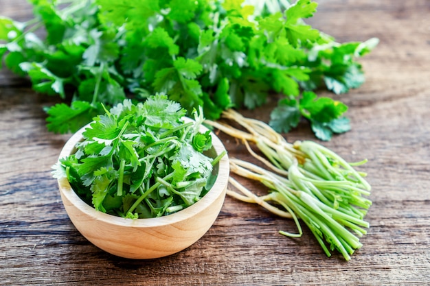 Fresh green parsley leaves, root ,slice on wooden table Premium Photo