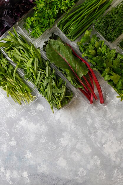 Fresh greens basil, coriander,lettuce,purple basil,mountain coriander,dill,green onion in plastic boxes on grey concrete Free Photo