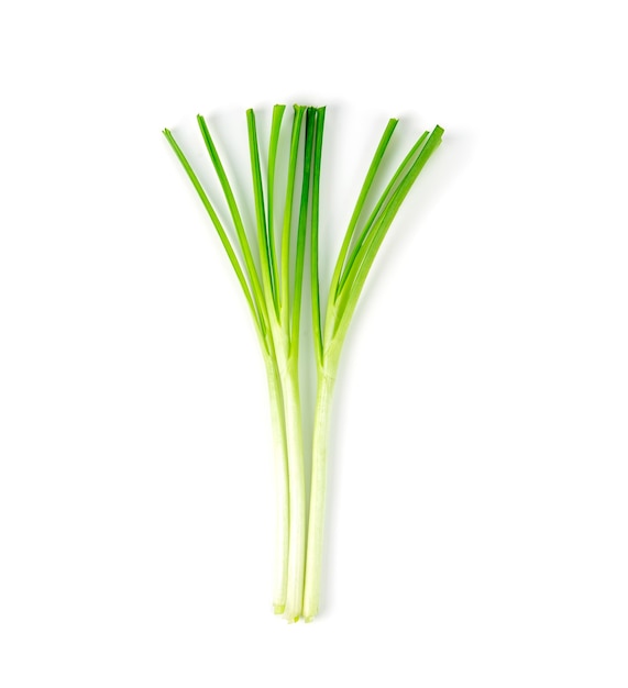 Premium Photo | Fresh healthy organic green vegetable garlic chives ...