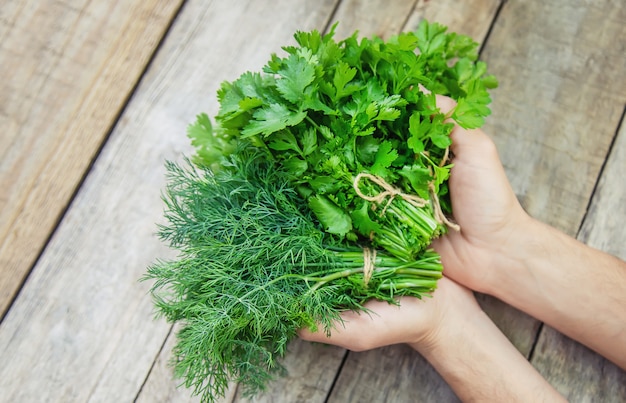 Premium Photo | Fresh homemade greens from the garden.