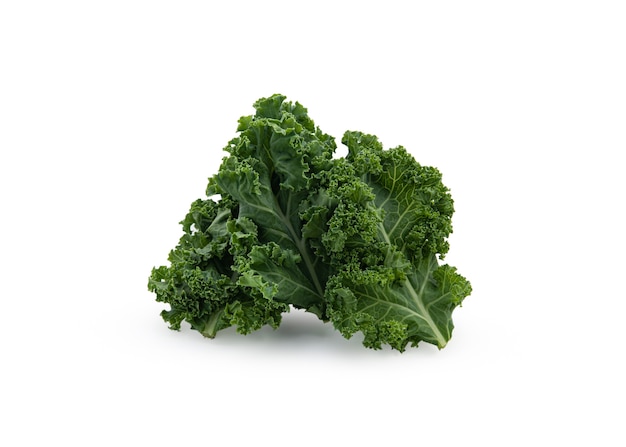 Premium Photo | Fresh kale on white isolated