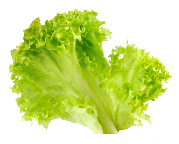 Fresh Lettuce Isolated On White Background Premium Photo