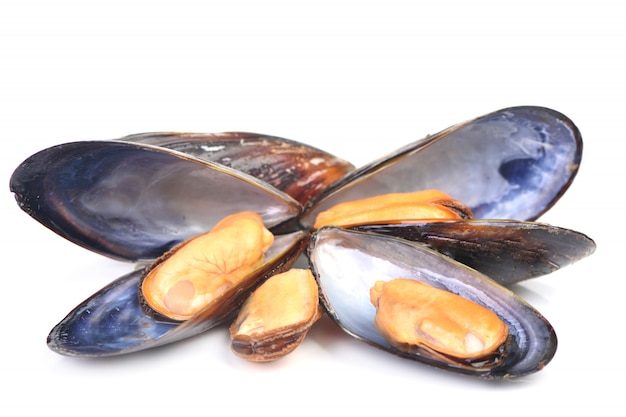 Premium Photo | Fresh mussel