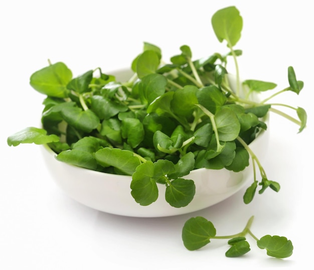 Premium Photo | Fresh Organic Watercress Over White Background