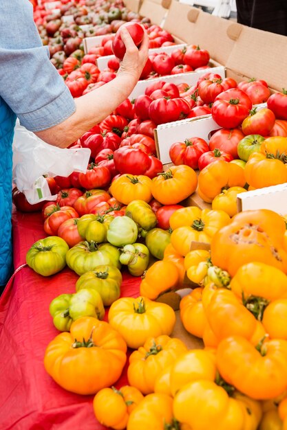 Premium Photo | Fresh produce at the farmers market in early summer.