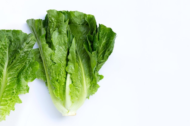 Premium Photo | Fresh romaine lettuce isolated