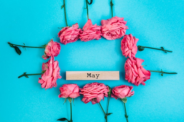 Fresh roses frame with may text on colored backdrop Free Photo