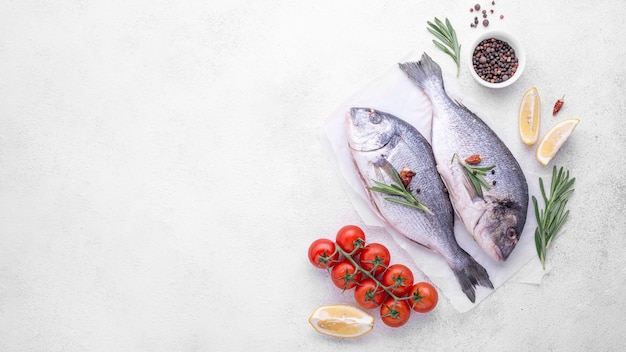 Fresh sea bream fish with herbs and tomatoes Premium Photo