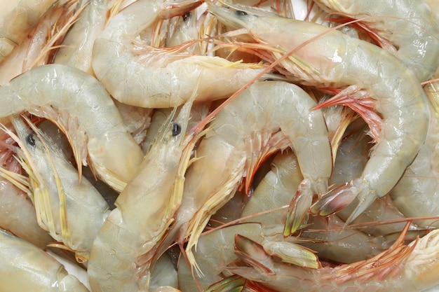 Premium Photo Fresh Sea Shrimp Tropical In Thailand