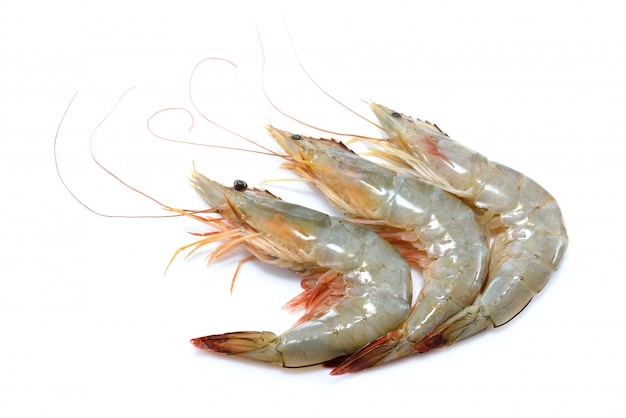 Premium Photo Fresh Shrimp Prawn