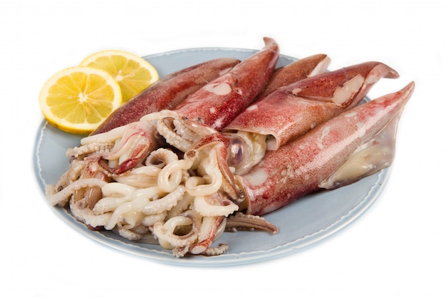 Premium Photo | Fresh squid isolated