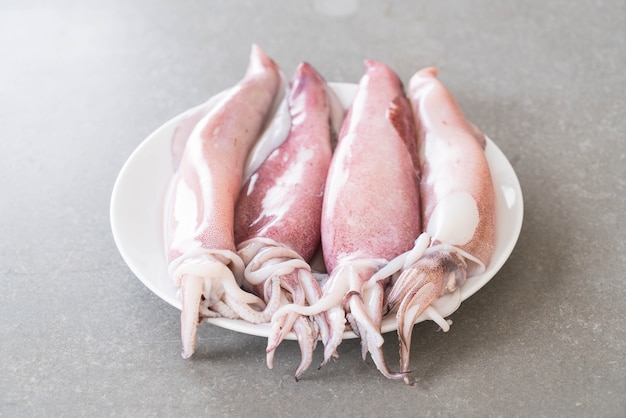 Free Photo | Fresh squid