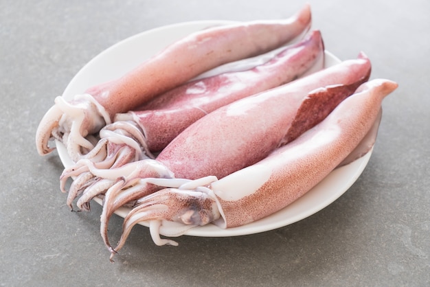 Free Photo | Fresh squid