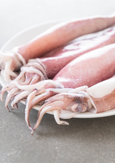 Free Photo | Fresh squid