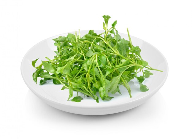 Premium Photo | Fresh watercress in plate