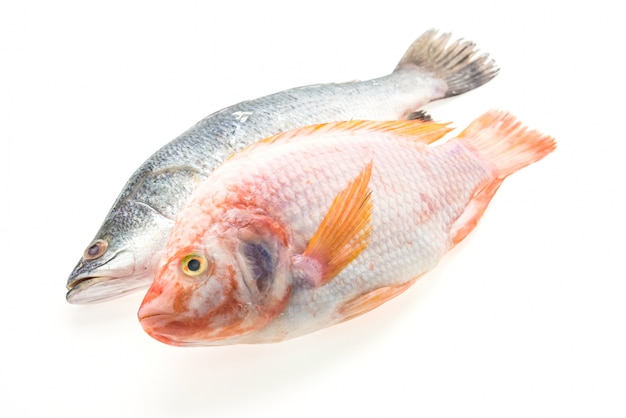 fresh-whole-fish-photo-free-download