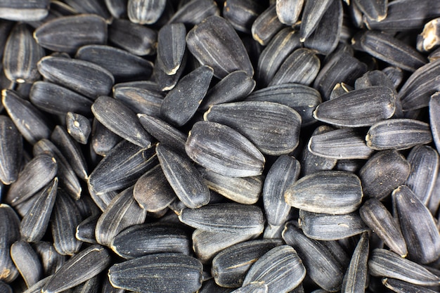 Premium Photo | Fried black sunflowers seeds, close up.