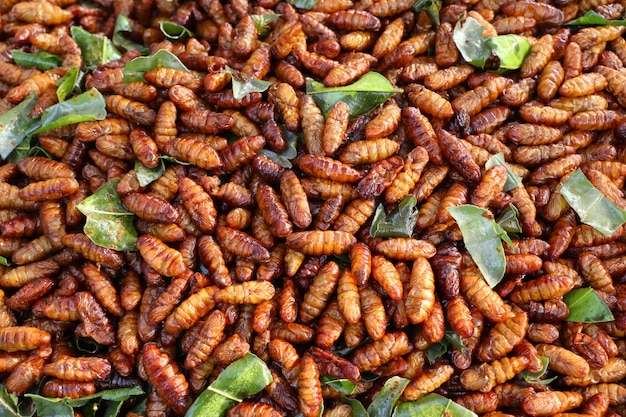 Premium Photo | Fried insect at street food