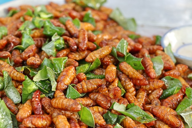 Premium Photo | Fried insect at street food