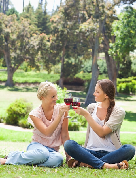 Premium Photo Friends Clink Glasses Of Wine In The Park