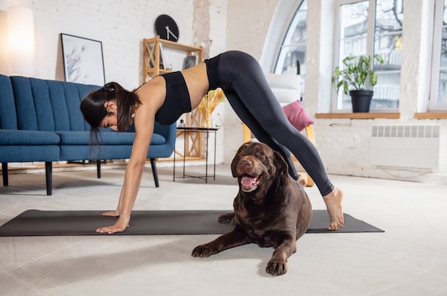 友達 家で運動し 犬と一緒にヨガの練習をしている若い女性 ストレッチ 練習の美しい女性 ウェルネス ウェルビーイング ヘルスケア メンタルヘルス ライフスタイルの概念 無料の写真