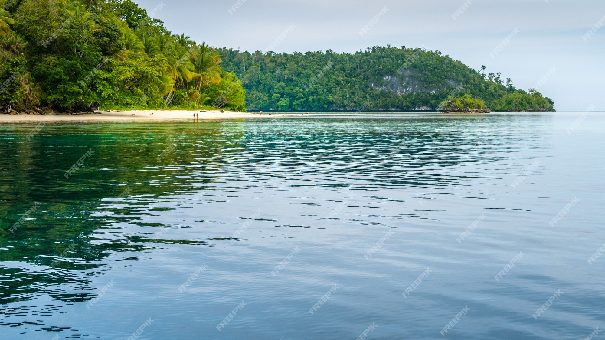 Premium Photo | Friwen island in front and wall, west papuan, raja ...