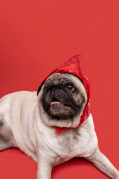 pug template increment counter pug template increment counter