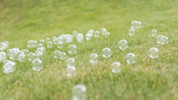 芝生の上のかわいいシャボン玉の正面図 無料の写真