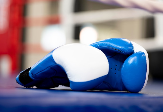 Download Front view of pair of boxing gloves | Free Photo