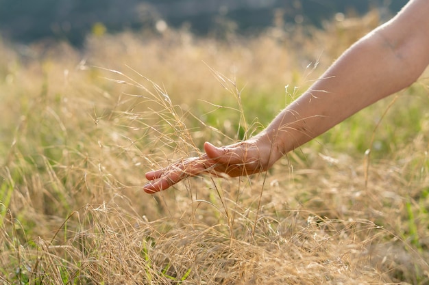 Free Photo Front View Of Woman Running Her Hand Through Grass