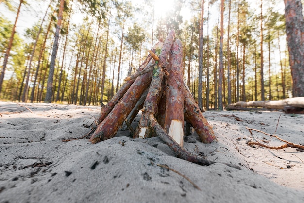 Premium Photo | Front view wood for campfire in the sand